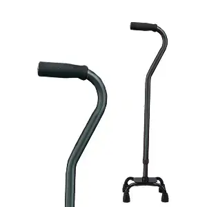 3rd best cane 2025